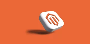 Magento for Enterprise Ecommerce Stores