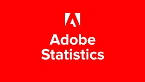 Adobe Commerce Statistics